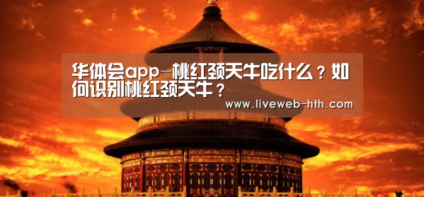 华体会app-桃红颈天牛吃什么?如何识别桃红颈天牛?(图1) 华体会官网