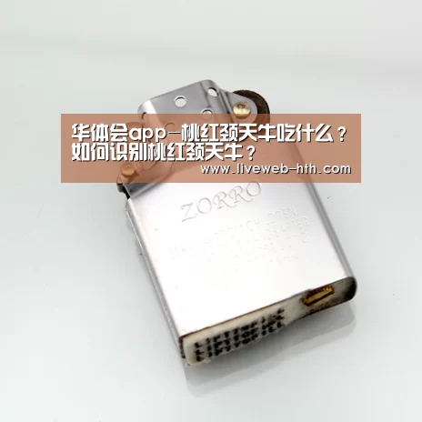 华体会app-桃红颈天牛吃什么?如何识别桃红颈天牛?(图2) 华体会