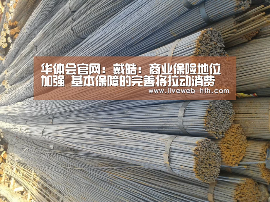华体会官网:戴皓:商业保险地位加强 基本保障的完善将拉动消费(图3) 华体会官网:戴皓:商业保险地位加强 基本保障的完善将拉动消费(图3)