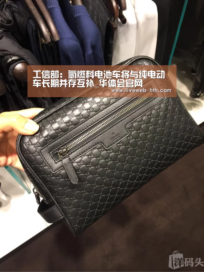 工信部:氢燃料电池车将与纯电动车长期并存互补_华体会官网(图1) 华体会