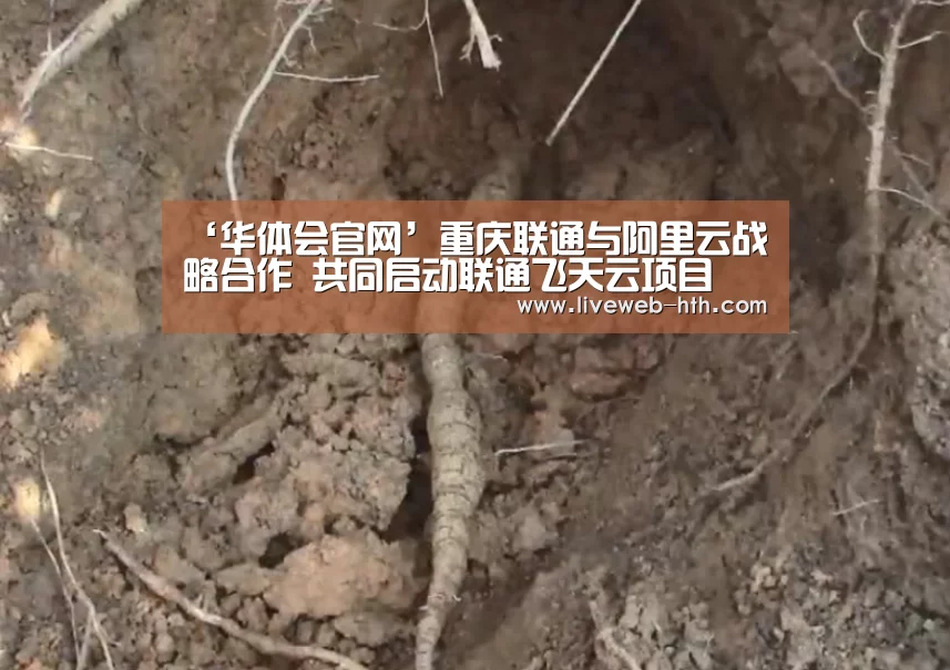 ‘华体会官网’重庆联通与阿里云战略合作 共同启动联通飞天云项目(图3) ‘华体会官网’重庆联通与阿里云战略合作 共同启动联通飞天云项目(图3)